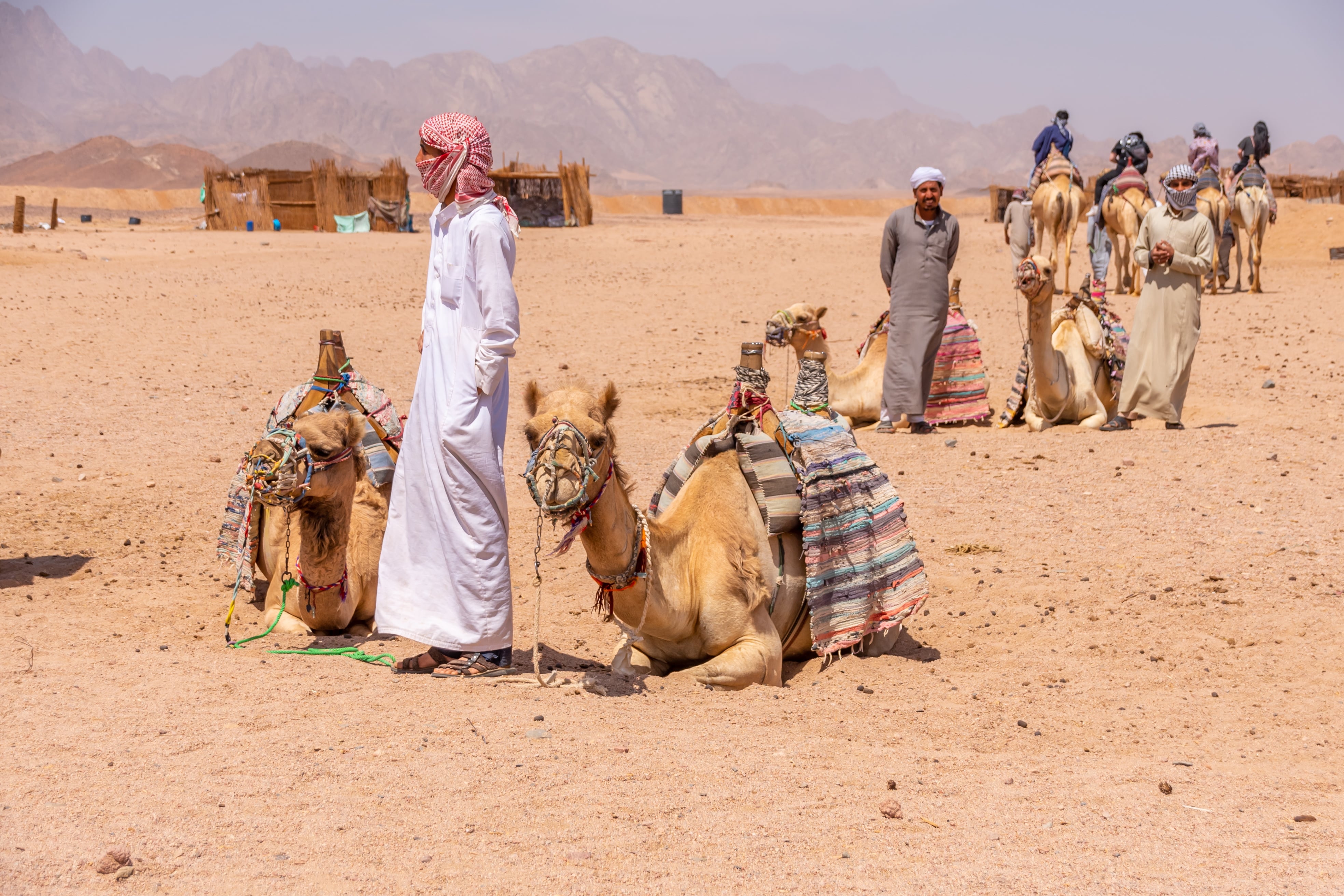 10x Kidsproof uitstappen in en rond Hurghada met kinderen